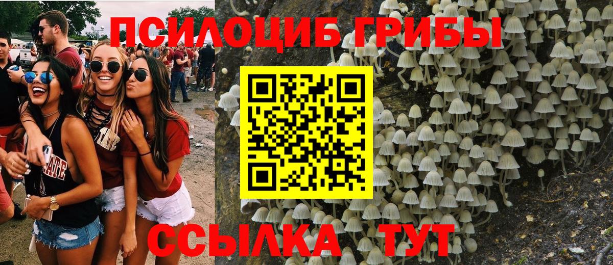 Галлюциногенные грибы мицелий  Вход с VPN  Галлюциногенные грибы Magic Shrooms  Карталы 